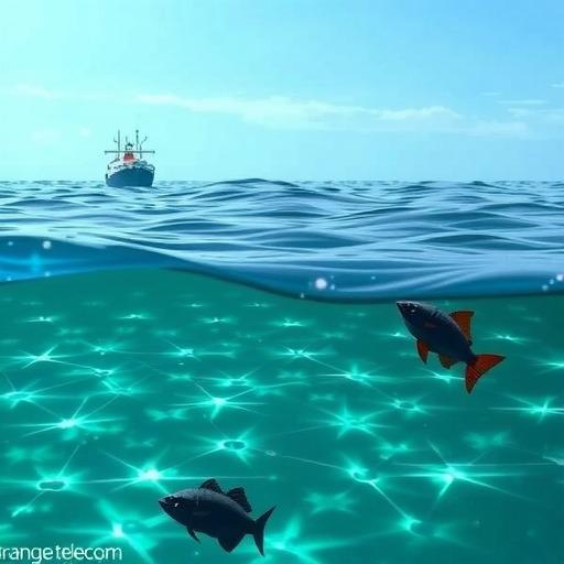 法国Orange电信与谷歌合作 建设Dunant海底光缆