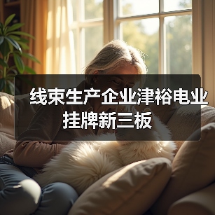 线束生产企业津裕电业挂牌新三板(图4) 线束生产企业津裕电业挂牌新三板(图4)