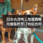 日本古河电工与墨西哥电视集团签订光缆合同（图1）