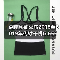 湖南移动公布2018至2019年传输干线G.655光缆及混合光缆采购比选公告（图4）