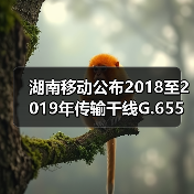 湖南移动公布2018至2019年传输干线G.655光缆及混合光缆采购比选公告（图1）