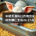 中钢天源拟以自有资金收购铜仁金瑞26.5%股权（图4）