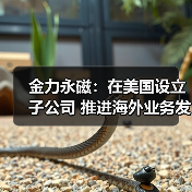 金力永磁:在美国设立子公司 推进海外业务发展(图1) 金力永磁:在美国设立子公司 推进海外业务发展(图1)