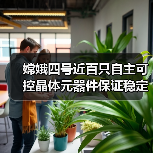 嫦娥四号近百只自主可控晶体元器件保证稳定精准(图3) 嫦娥四号近百只自主可控晶体元器件保证稳定精准(图3)