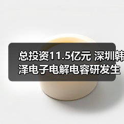 总投资11.5亿元 深圳韩泽电子电解电容研发生产项目成功签约落户宿松（图2）