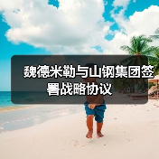 魏德米勒与山钢集团签署战略协议(图3) 魏德米勒与山钢集团签署战略协议(图3)