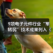 9项电子元件行业“军转民”技术成果列入《军用技术转民用推广目录(2018年度)》(图1) 9项电子元件行业“军转民”技术成果列入《军用技术转民用推广目录(2018年度)》(图1)