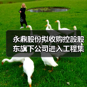 永鼎股份拟收购控股股东旗下公司进入工程集成施工领域（图2）