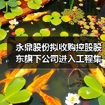 永鼎股份拟收购控股股东旗下公司进入工程集成施工领域（图1）