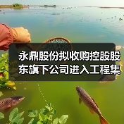 永鼎股份拟收购控股股东旗下公司进入工程集成施工领域（图4）