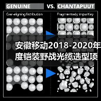安徽移动2018-2020年度铠装野战光缆选型项目：烽火、长飞上榜（图2）