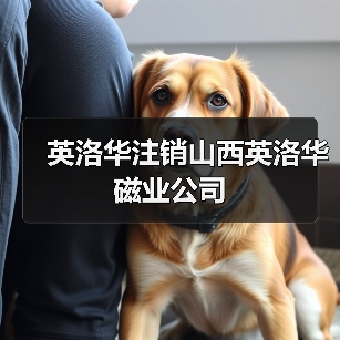 英洛华注销山西英洛华磁业公司(图4) 英洛华注销山西英洛华磁业公司(图4)