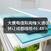 大唐电信拟向烽火通信转让成都线缆46.48%股权(图3) 大唐电信拟向烽火通信转让成都线缆46.48%股权(图3)