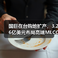 国巨在台购地扩产,3.26亿美元布局高端MLCC(图2) 国巨在台购地扩产,3.26亿美元布局高端MLCC(图2)