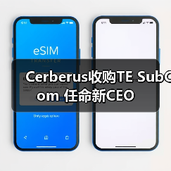 Cerberus收购TE SubCom 任命新CEO(图1) Cerberus收购TE SubCom 任命新CEO(图1)