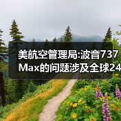 美航空管理局:波音737Max的问题涉及全球246架飞机（图2）