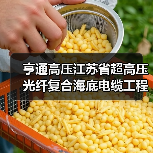 亨通高压江苏省超高压光纤复合海底电缆工程技术研究中心顺利通过验收(图3) 亨通高压江苏省超高压光纤复合海底电缆工程技术研究中心顺利通过验收(图3)