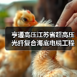 亨通高压江苏省超高压光纤复合海底电缆工程技术研究中心顺利通过验收(图2) 亨通高压江苏省超高压光纤复合海底电缆工程技术研究中心顺利通过验收(图2)