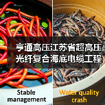 亨通高压江苏省超高压光纤复合海底电缆工程技术研究中心顺利通过验收(图1) 亨通高压江苏省超高压光纤复合海底电缆工程技术研究中心顺利通过验收(图1)
