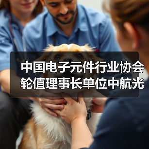 中国电子元件行业协会轮值理事长单位中航光电荣获华为“全球金牌供应商”(图3) 中国电子元件行业协会轮值理事长单位中航光电荣获华为“全球金牌供应商”(图3)