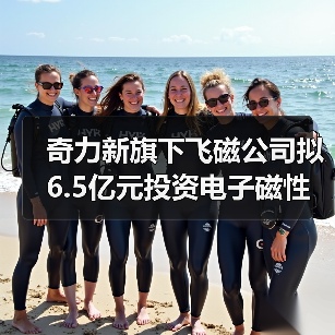 奇力新旗下飞磁公司拟6.5亿元投资电子磁性材料建设项目(图4) 奇力新旗下飞磁公司拟6.5亿元投资电子磁性材料建设项目(图4)