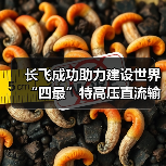 长飞成功助力建设世界“四最”特高压直流输电工程(图2) 长飞成功助力建设世界“四最”特高压直流输电工程(图2)