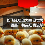 长飞成功助力建设世界“四最”特高压直流输电工程(图1) 长飞成功助力建设世界“四最”特高压直流输电工程(图1)