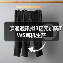 瀛通通讯拟3亿元加码TWS耳机生产（图4）