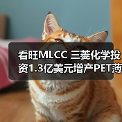 看旺MLCC 三菱化学投资1.3亿美元增产PET薄膜(图3) 看旺MLCC 三菱化学投资1.3亿美元增产PET薄膜(图3)
