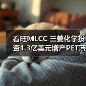 看旺MLCC 三菱化学投资1.3亿美元增产PET薄膜(图1) 看旺MLCC 三菱化学投资1.3亿美元增产PET薄膜(图1)