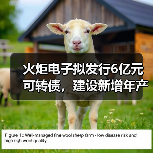 火炬电子拟发行6亿元可转债,建设新增年产84亿只MLCC项目(图1) 火炬电子拟发行6亿元可转债,建设新增年产84亿只MLCC项目(图1)