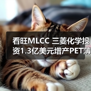 看旺MLCC 三菱化学投资1.3亿美元增产PET薄膜(图2) 看旺MLCC 三菱化学投资1.3亿美元增产PET薄膜(图2)