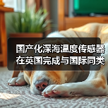 国产化深海温度传感器在英国完成与国际同类产品性能比测试验(图3) 国产化深海温度传感器在英国完成与国际同类产品性能比测试验(图3)