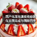 国产化深海温度传感器在英国完成与国际同类产品性能比测试验(图2) 国产化深海温度传感器在英国完成与国际同类产品性能比测试验(图2)