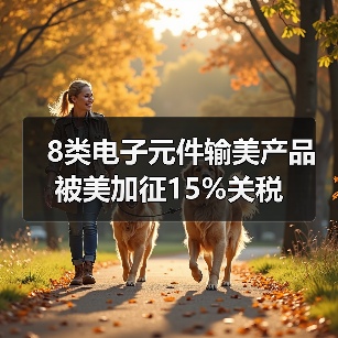 8类电子元件输美产品被美加征15%关税(图2) 8类电子元件输美产品被美加征15%关税(图2)