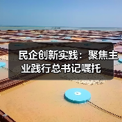 民企创新实践：聚焦主业践行总书记嘱托（图4）
