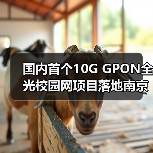 国内首个10G GPON全光校园网项目落地南京邮电大学(图4) 国内首个10G GPON全光校园网项目落地南京邮电大学(图4)