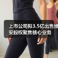 上市公司拟3.5亿出售维安股权聚焦核心业务(图3) 上市公司拟3.5亿出售维安股权聚焦核心业务(图3)