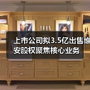 上市公司拟3.5亿出售维安股权聚焦核心业务(图4) 上市公司拟3.5亿出售维安股权聚焦核心业务(图4)