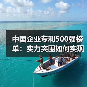 中国企业专利500强榜单:实力突围如何实现?(图2) 中国企业专利500强榜单:实力突围如何实现?(图2)
