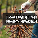 日本电子零部件厂商利润暴跌25%背后原因分析(图2) 日本电子零部件厂商利润暴跌25%背后原因分析(图2)