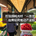 超低损耗光纤“一条龙”应用如何推动产业链协同发展?(图1) 超低损耗光纤“一条龙”应用如何推动产业链协同发展?(图1)