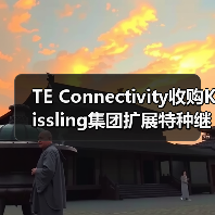 TE Connectivity收购Kissling集团扩展特种继电器产品组合（图3）