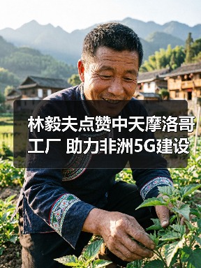 林毅夫点赞中天摩洛哥工厂 助力非洲5G建设（图4）