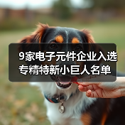9家电子元件企业入选专精特新小巨人名单（图3）