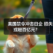 美国禁令冲击日企 损失或超百亿元？（图3）