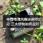 中国电信光模块招标启动 三大标包如何应对？（图2）