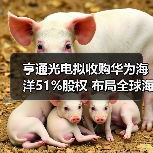 亨通光电拟收购华为海洋51%股权 布局全球海缆通信网络（图1）