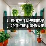 川投信产并购宏明电子,如何打造中国最大电子元器件企业?(图3) 川投信产并购宏明电子,如何打造中国最大电子元器件企业?(图3)