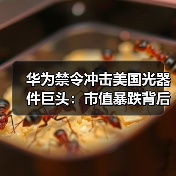 华为禁令冲击美国光器件巨头：市值暴跌背后有何隐忧？（图4）
